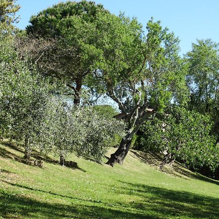 Bed and Breakfast Santa Maria Della Pace Montespertoli Exteriér fotografie
