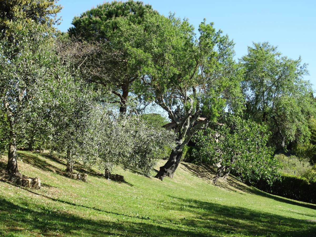 Bed and Breakfast Santa Maria Della Pace Montespertoli Exteriér fotografie